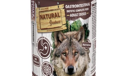 <strong>Natural Greatness Gastrointestinal – bezzbożowa dieta weterynaryjna dla psów</strong>