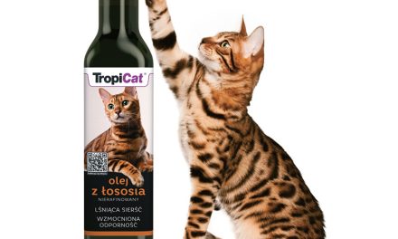 <strong>NOWOŚĆ – TropiCat olej z łososia dla kotów</strong>