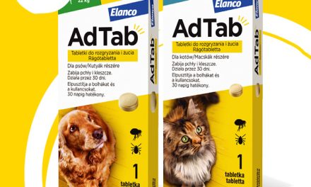 Nowość na pchły i kleszcze – Tabletka AdTab od Elanco! 
