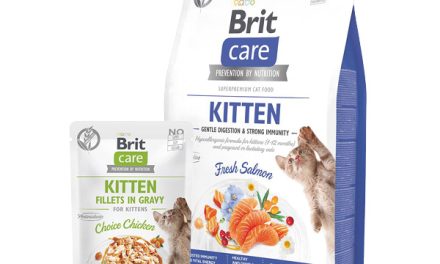 Brit Care Grain-Free Cat – premiera