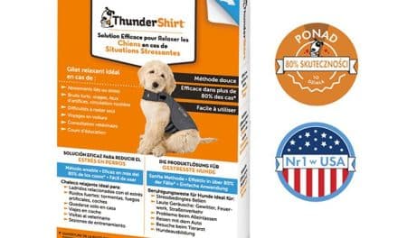 ThunderShirt – kamizelka relaksująca, pomagająca psom w trudnych sytuacjach
