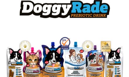 Produkty irlandzkiej marki DoggyRade już dostępne w Polsce! 