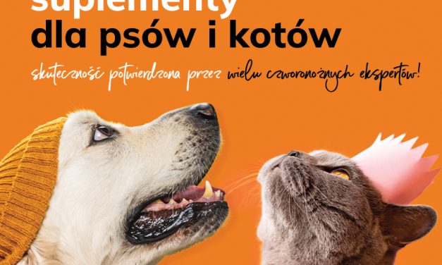 Rozszerz swoją ofertę o najwyższej jakości naturalne preparaty Yarrowia Canifelox