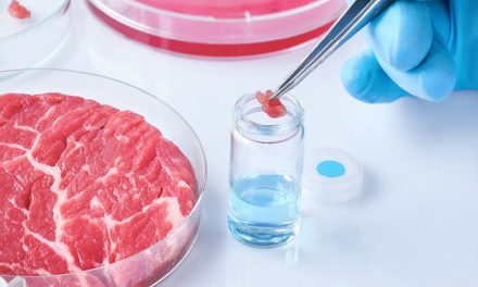 Unia Europejska zatwierdziła sprzedaż mięsa laboratoryjnego na cele karm dla zwierząt