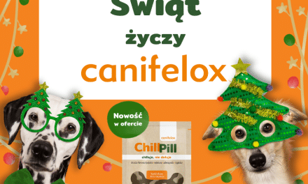 Życzenia świąteczne od Canifelox