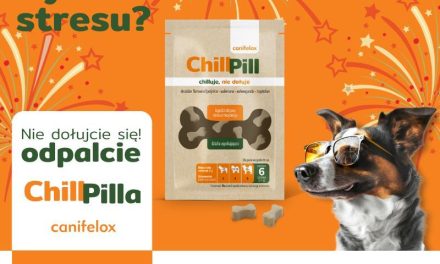Nowość: ChillPill – Szybka pomoc dla Twojego zestresowanego psa!