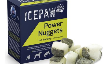 ICEPAW Power Nuggets – przekąska energetyczna z algami