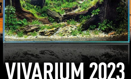 Vivarium 2023 – wydarzenie inne niż wszystkie