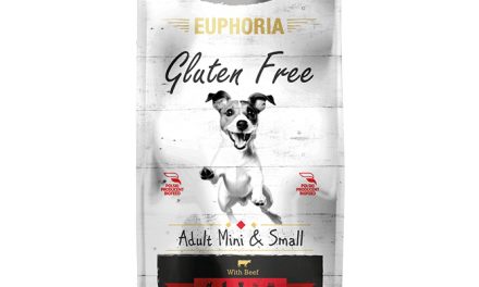 BIOFEED EUPHORIA Adult Gluten Free z Wołowiną