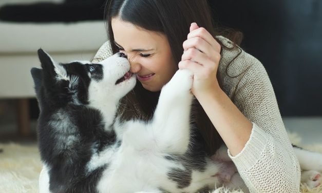 Interakcje z psami redukują stres i zwiększają koncentrację