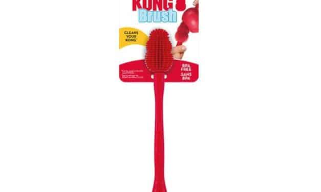 KONG Brush – szczoteczka do zadań specjalnych!