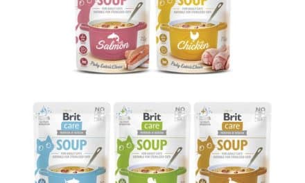 Brit Care Cat Soup – nowa linia bezzbożowch karmuzupełniających dla kotów!