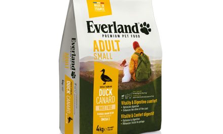 Everland Adult Small