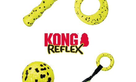 KONG Reflex – nowy wymiar zabawy!