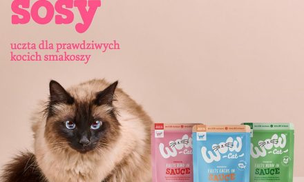 Wprowadź do oferty swojego sklepu karmy i przysmaki WOW CAT!