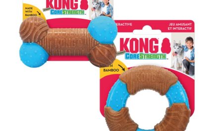 KONG CoreStrength™ Bamboo Ring/ Bone –niezwykła jakość żucia