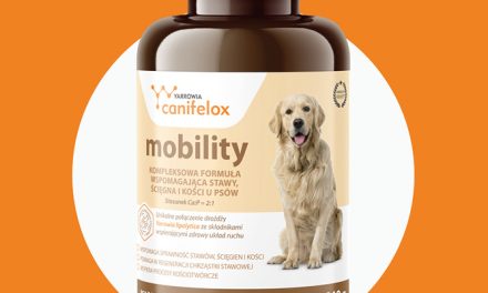 CANIFELOX MOBILITY DOG