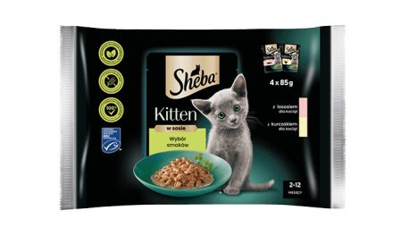 Sheba® Kitten – nowa linia produktów przeznaczonych dla kociąt