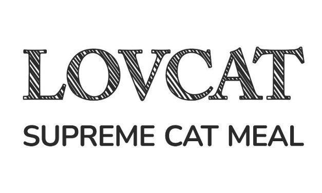 LOVCAT to najlepsze danie, jakie możesz zaserwować swojemu kotu