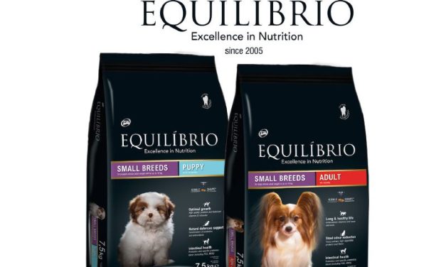 EQUILIBRIO SMALL BREEDS