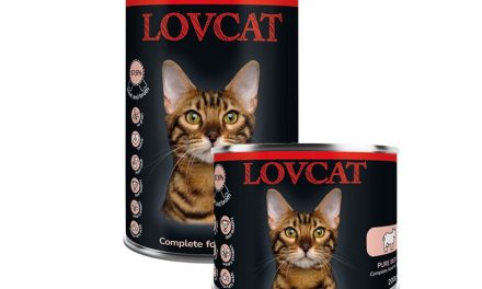 Poznaj produkty LOVCAT