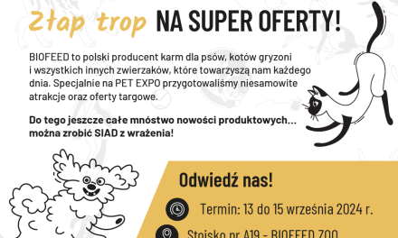 Złap trop NA SUPER OFERTY!