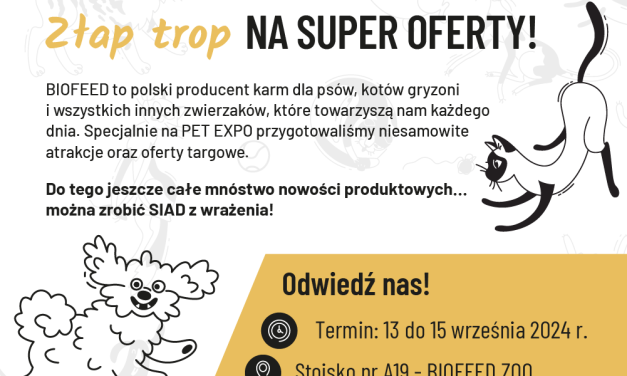 Złap trop NA SUPER OFERTY!