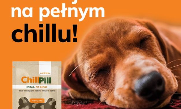 CANIFELOX ChillPill Tabletki uspokajające dla psów