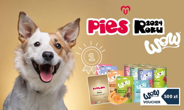 KONKURS Pies Roku 2024 MyPetStory & WOW