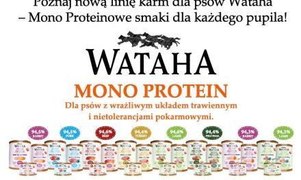 Poznaj nową linię karm dla psów Wataha – Mono Proteinowe smaki dla każdego pupila!