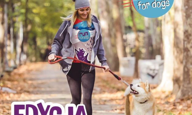 Run&Walk for Dogs – edycja ogólnopolska!