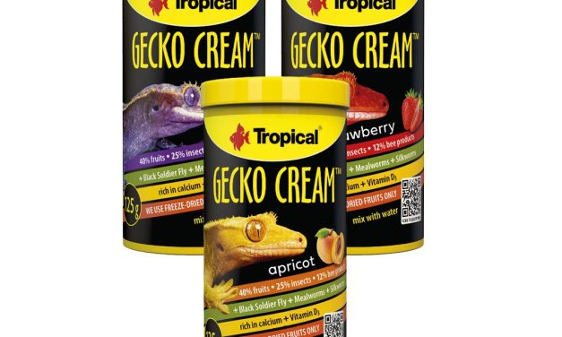 Gecko Cream