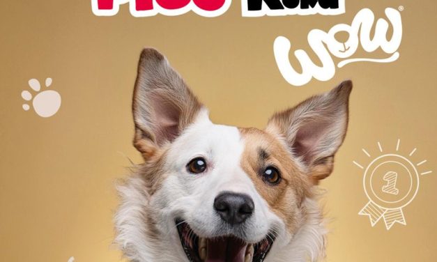 KONKURS Pies Roku 2024 MyPetStory & WOW