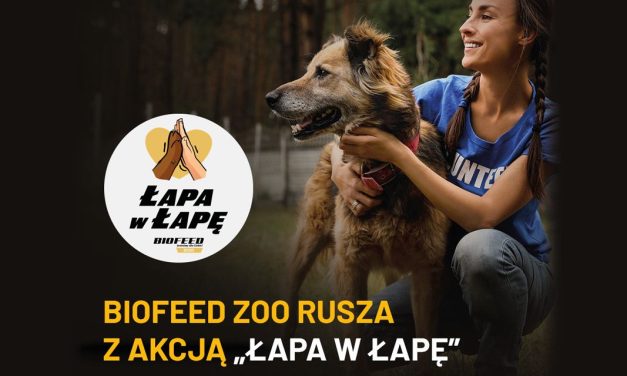 BIOFEED ZOO rusza z akcją „Łapa w łapę” – wspierajmy schroniska razem!