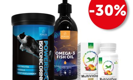 Promocje -30% -25% w Panelu B2B