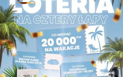 Ostatnie dni loterii na Cztery Łapy organizowanej przez Dolinę Noteci!