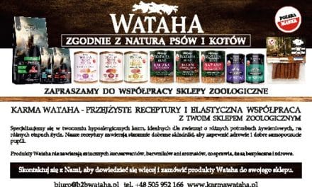 Karma WATAHA – przejrzyste receptury i elastyczna wpółpraca