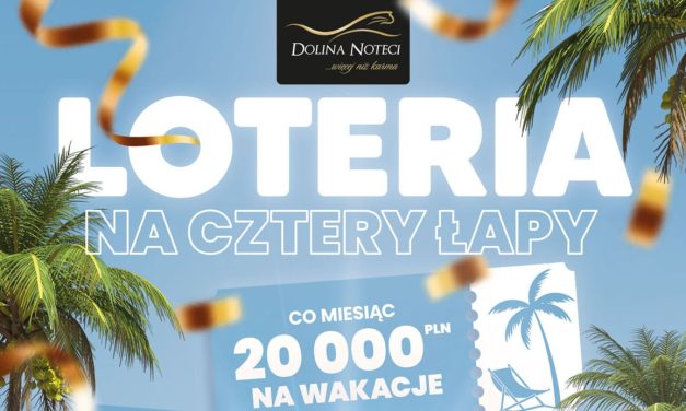 Ostatnie dni loterii na Cztery Łapy organizowanej przez Dolinę Noteci!