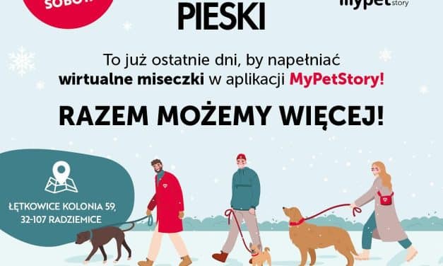 Finał XIV edycji akcji „Wspieram Pieski” w aplikacji MyPetStory