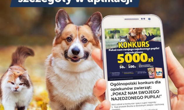 Konkurs Bozita – Pokaż nam swojego najedzonego pupila!