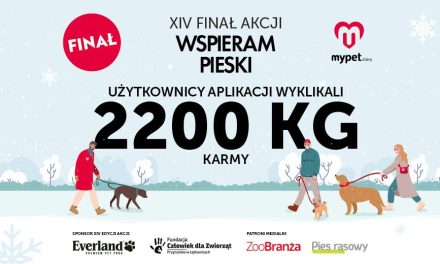 Mamy Rekord! Wyklikaliście 2200 kg karmy dla Fundacji Człowiek dla Zwierząt