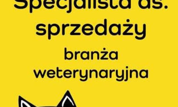 Dołącz do zespołu YANGO!