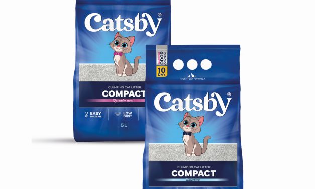 Catsby Compact