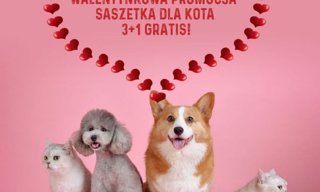 Walentynkowa promocja od Bozita w MyPetStory Trade