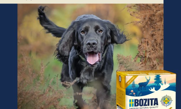 Nowość: Bozita Purely Duoprotein w aplikacji MyPetStory Trade!