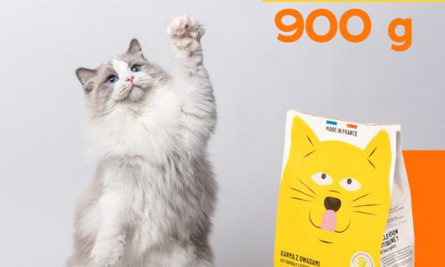 Promocja dla sklepów -25% na karmę TOMOJO 900 g w MyPetStory Trade