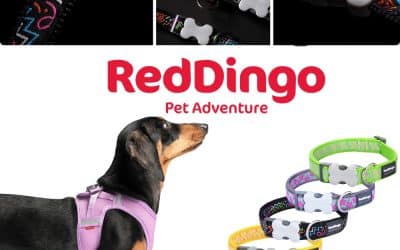 Red Dingo w Polsce! Międzynarodowa marka z australijskim sercem!