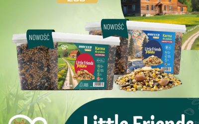 Nowość w ofercie BIOFEED – Little Friends Menu dla ptaków