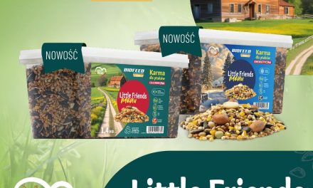 Nowość w ofercie BIOFEED – Little Friends Menu dla ptaków