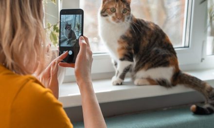 Komunikacja marketingowa z młodym pokoleniem opiekunów zwierząt domowych
